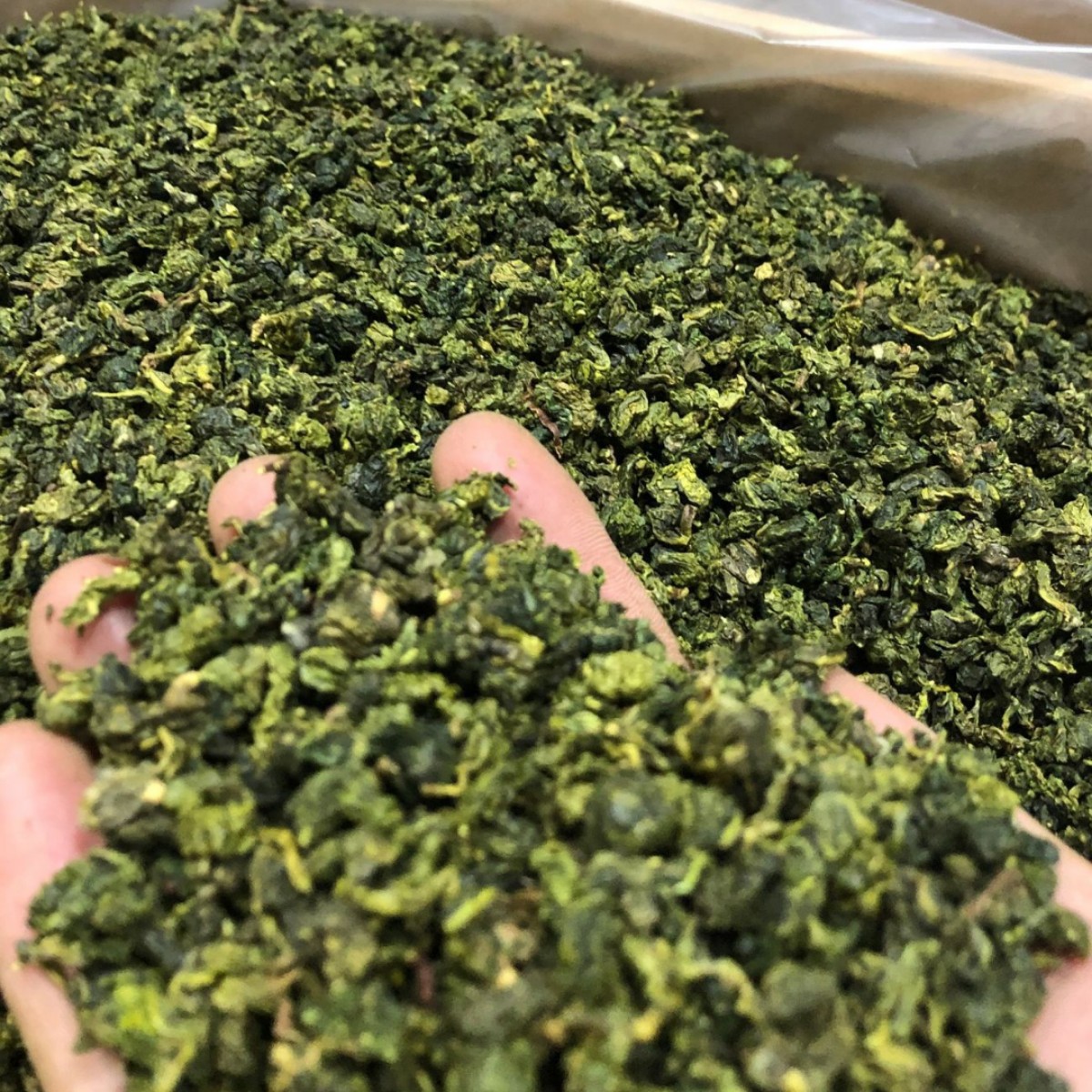 安溪铁观音茶叶安溪特产散装浓香型拖酸铁观音茶叶新茶乌龙茶青茶