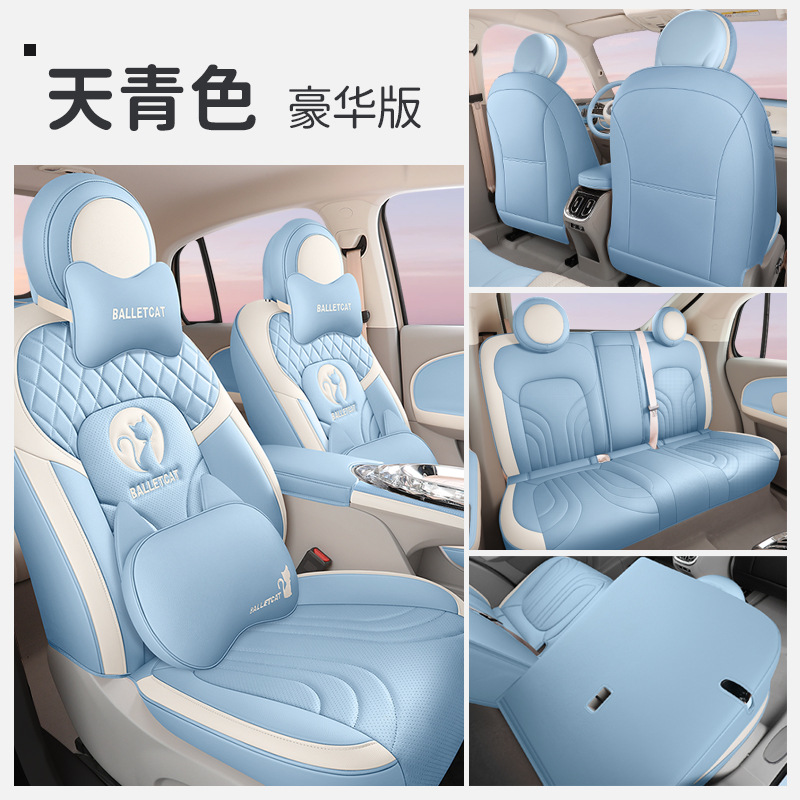 ZFL 오일러 발레 고양이 디럭스 에디션 스카이 블루