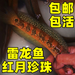 �^�p�����~�ʺ������~���B��ˮ�~��ˮ�~���ͼt����������