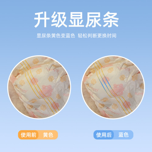 Pet Diaper for Small Dogs, Female Dog Sanitary Pads, Menstrual Pads, Safe Underwear for Dogs, Male Dog Disposable Diapers Wholesale