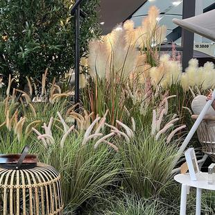 ����¶�I�L�����JȔ�ݷ��滨���Թ�β�Ͳ��辰�پGֲ�b߷���