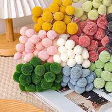 黄金球干花永生花粉色花束金槌花果实材料花材黄金果装饰配花配材