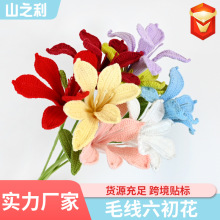 �羳��Ʒ������ë������֧�������滨�ֹ�����YƷ�ֹ�ë��������