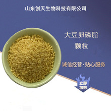 供应食品级大豆磷脂软颗粒 大豆蛋黄素大豆磷脂颗粒