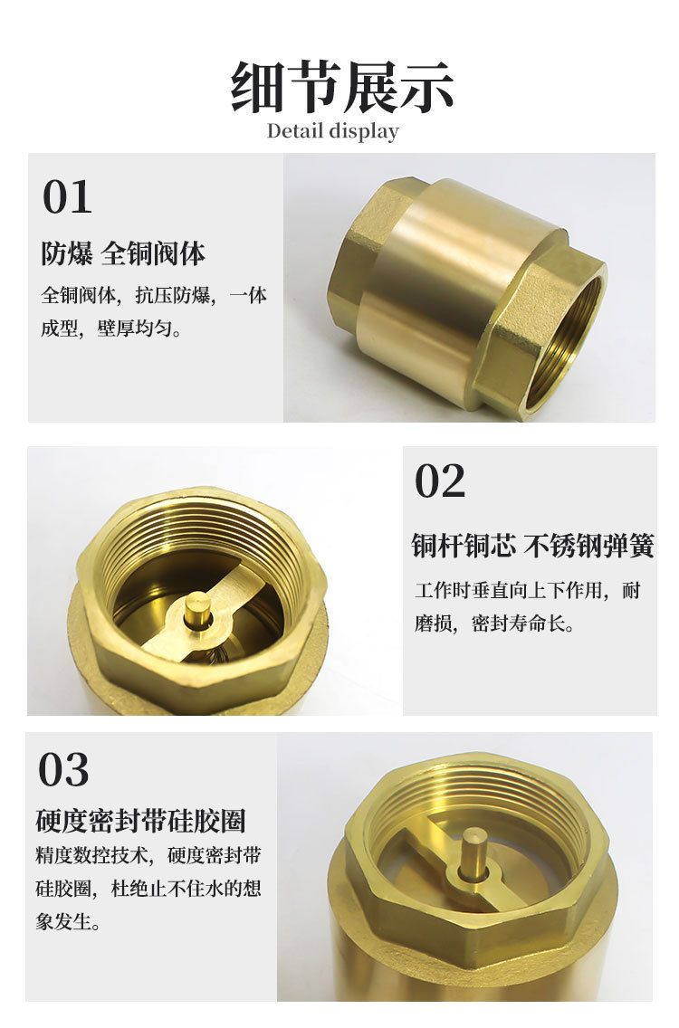 立式止回阀_05