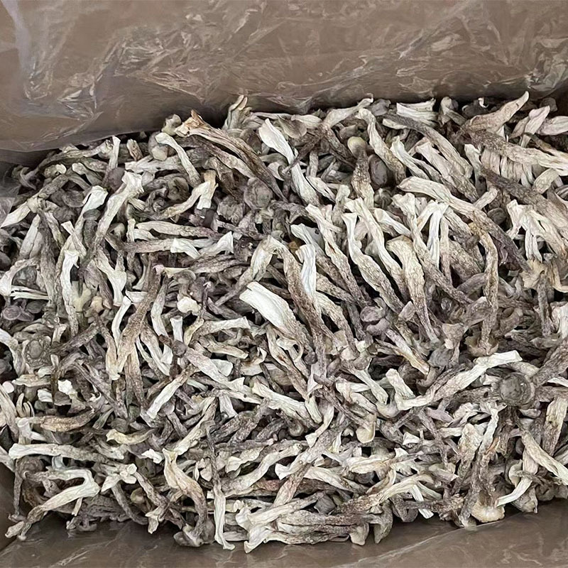 1753309613a71a0321058fca30f080