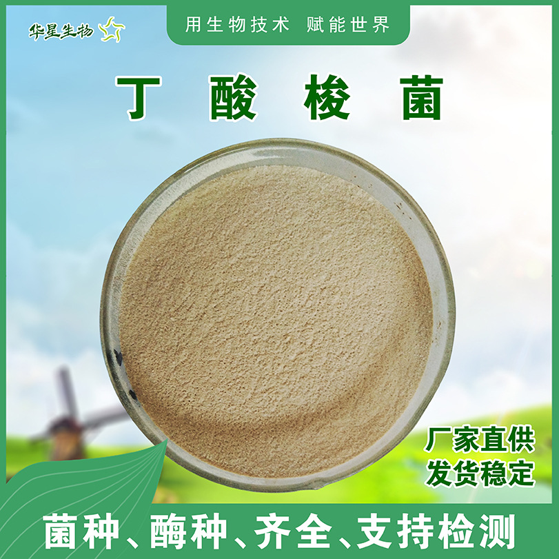 100亿丁酸梭菌原粉 水产饲用畜牧养殖乳酸菌华星生物丁酸梭菌