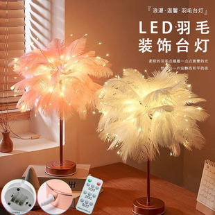 Nightlight Girl Heart Plug-in Bedroom Dormitory Creative Feather Lamp Net Celebratory Jewelry Room Decorative Lamp