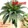 60-leaf encryption [ready in stock/for large quantities, please contact customer service]