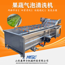 商用萵苣清洗機 果蔬片加工流水線全套設備 黃瓜輸送式氣泡清洗機