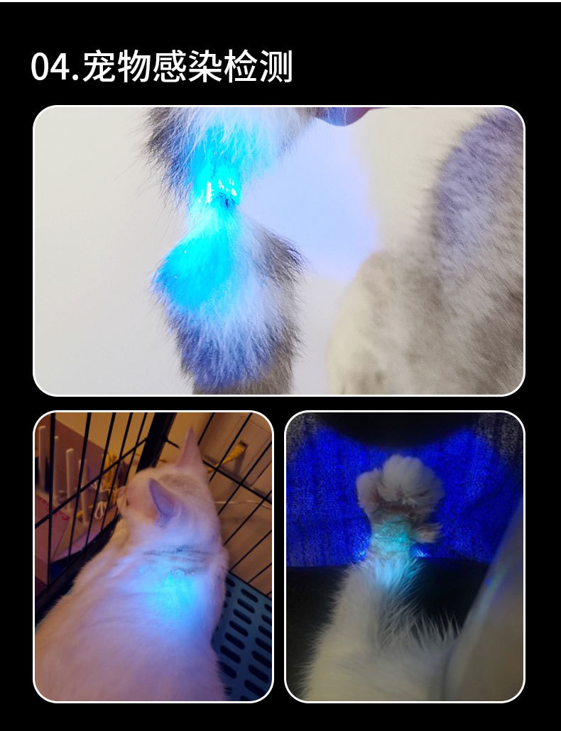 365紫光防伪验钞检测手电