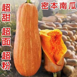 �����۱��ϹϷN�Ӹ߮a����������Ʒ�N�Ϲ��ѷN�Ӵ����׷N�߲˷N��