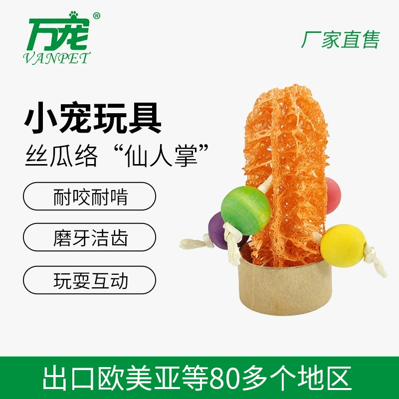 Игрушки для домашних животных, бусины из люфы, форма кактуса, жевание и игры, шлифовка и чистка зубов, украшение, хомяк, морская свинка, шиншилла