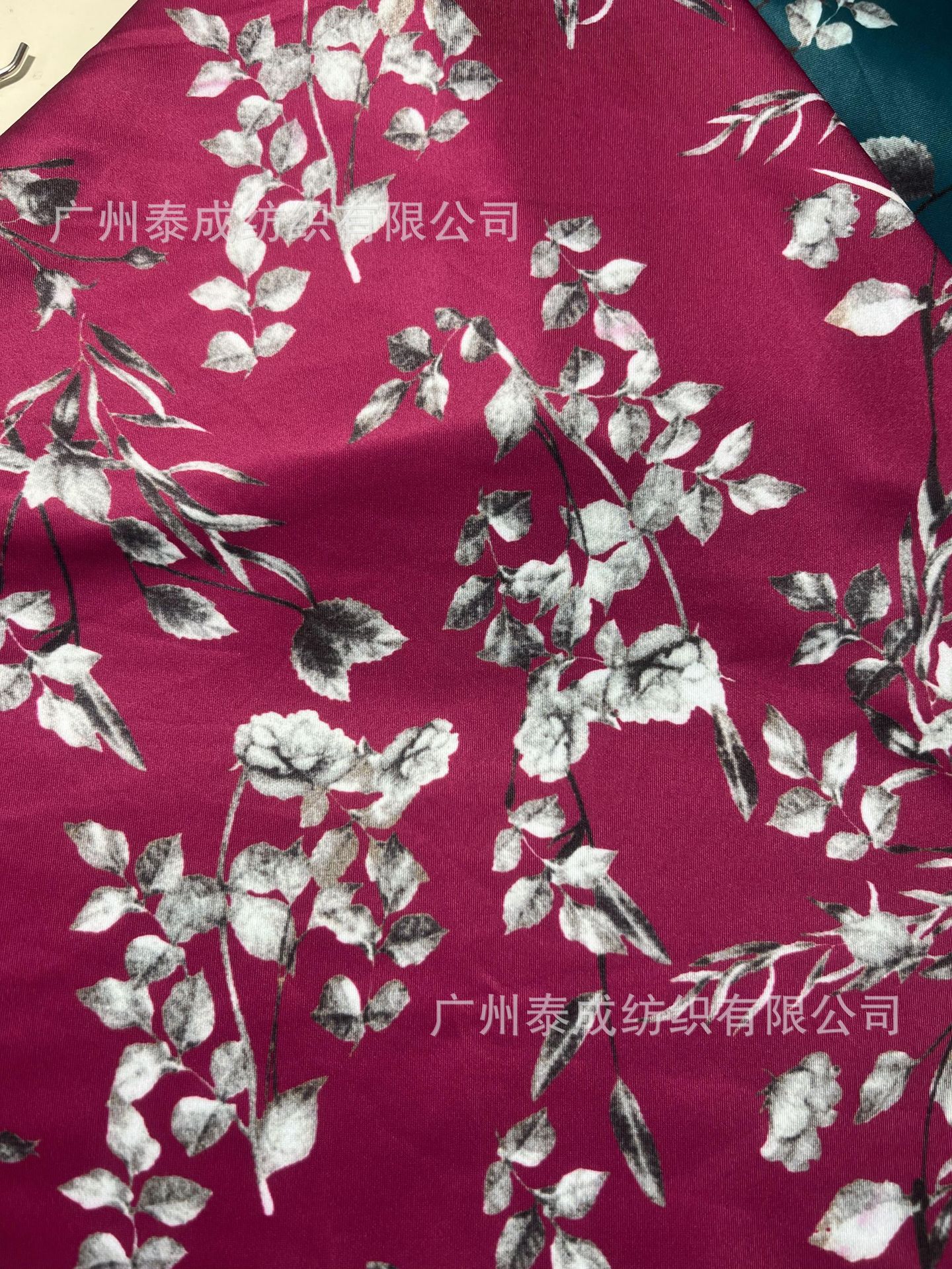 2025_03_20_19_01_IMG_7125