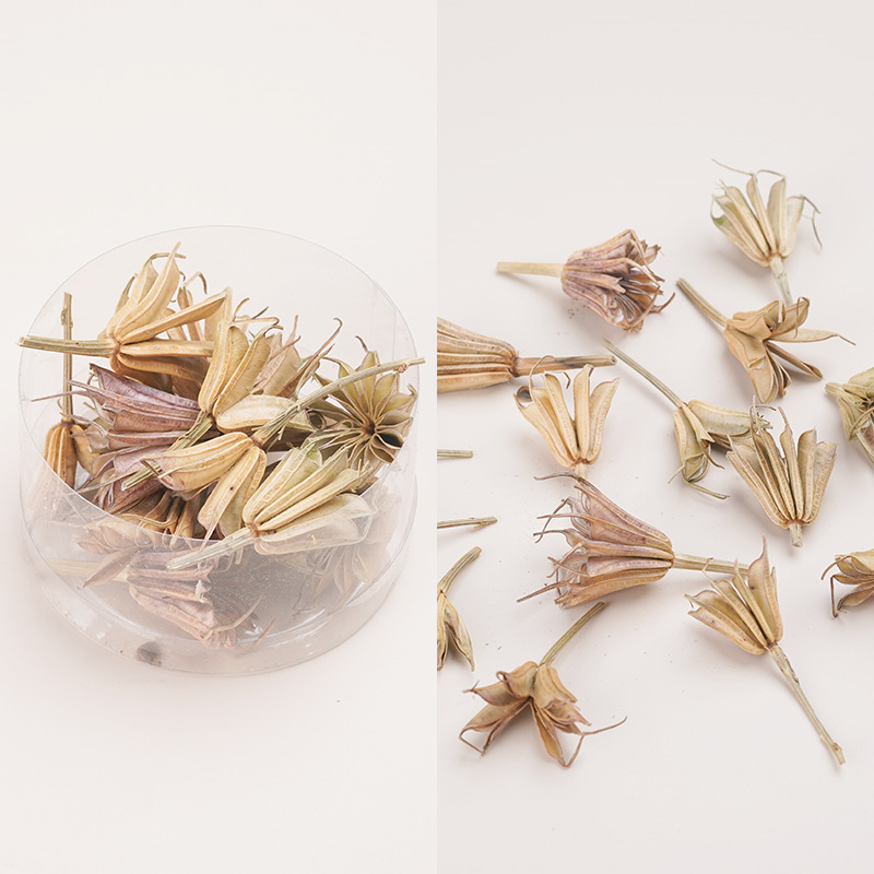 天然アロマキャンドル乾燥果花材クリスマス花輪diy乾燥花材植物標本装飾画松果|undefined