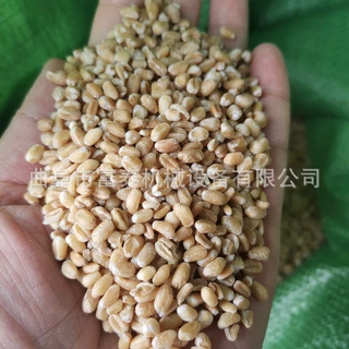 家用稻谷精米碾米机 电动水稻脱皮机 立式原粮脱皮机价格