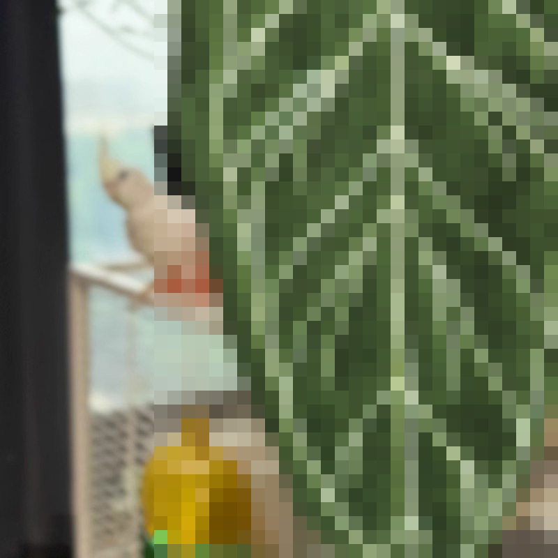 植物叶子擦手巾热植花烛手帕挂式厨房卫生间浴室可爱加厚创意毛巾|undefined