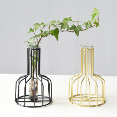 北歐風ins鐵藝乾花透明玻璃綠蘿創意水培試管小花瓶客廳插花擺件