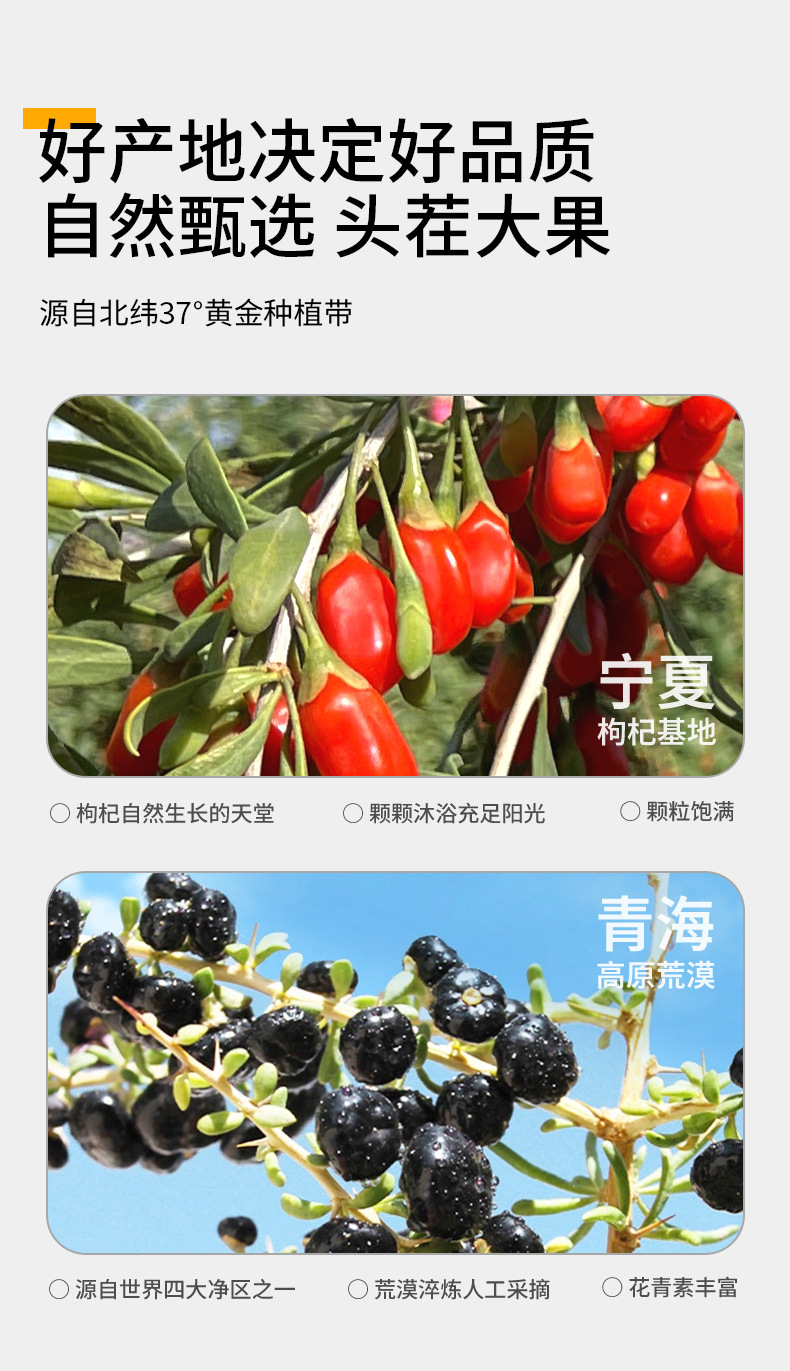 Red and Black Goji Berry Puree Drink Combo Ningxia Qinghai Goji 300ml 10 Sachets quality and texture