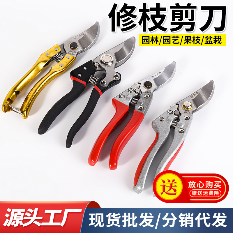 園林果枝ハサミsk5家庭用園芸園林省力修枝剪定花家庭用多機能摘果ハサミ|undefined