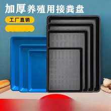 �����бP�L���μ��ñP�Ӻ��s��̖����P�ش�ߴ��ˮ�P���\�Pƽ�P