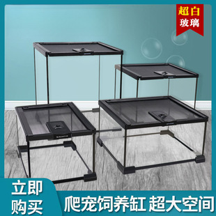 ���������׽޽��،m��B���ת{�����߽��ܘ���֩�����x���B���ָ�