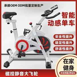 跑步机;健身车;其他健身器材