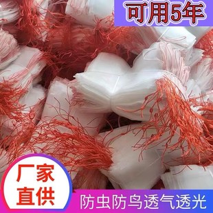 Fruit Tree Insect-Proof and Bird-Proof Gauze Bag to Protect Grape Bag, Fig, Guava, Sorghum, Strawberry, Mango and Peach Bagging