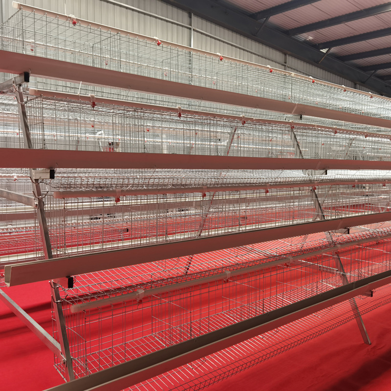 Capacidad de cría de gallinas de huevos de cuatro capas y cuatro puertas de gallinas para criar gallinas de huevos de huevos de tanque de alimentación verde de tanque de alimentación blanco equipo de cría