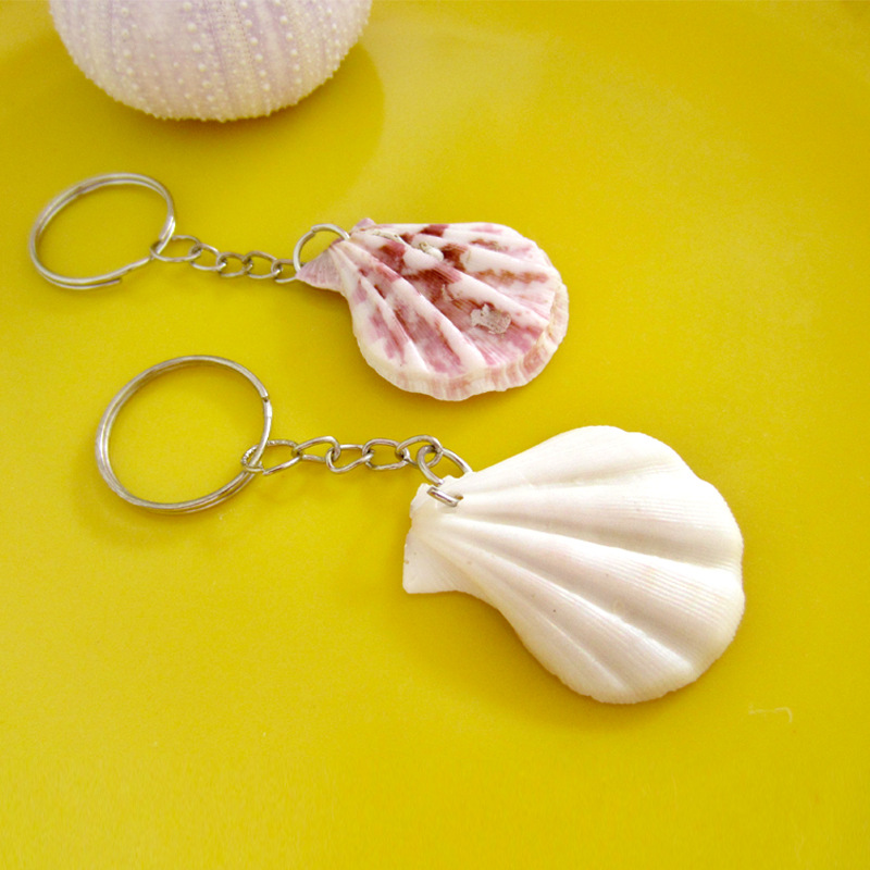 [100개 팩] 사자 발톱 조개 열쇠고리, 나사 크기 2cm-4cm