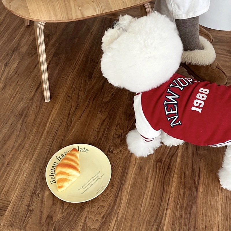 Otoño y invierno nuevo estilo alrededor de 1988 camisa de camiseta de camiseta de color contraste perros pequeños y medianos mascotas perros gatos ropa de peluche