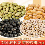 麻辣蒜香香酥黑豆即食500克黄豆青豆鹰嘴豆盐炒香酥豆子批发零售