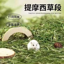 }|Ħݶνzľм|ݶomС\쾰