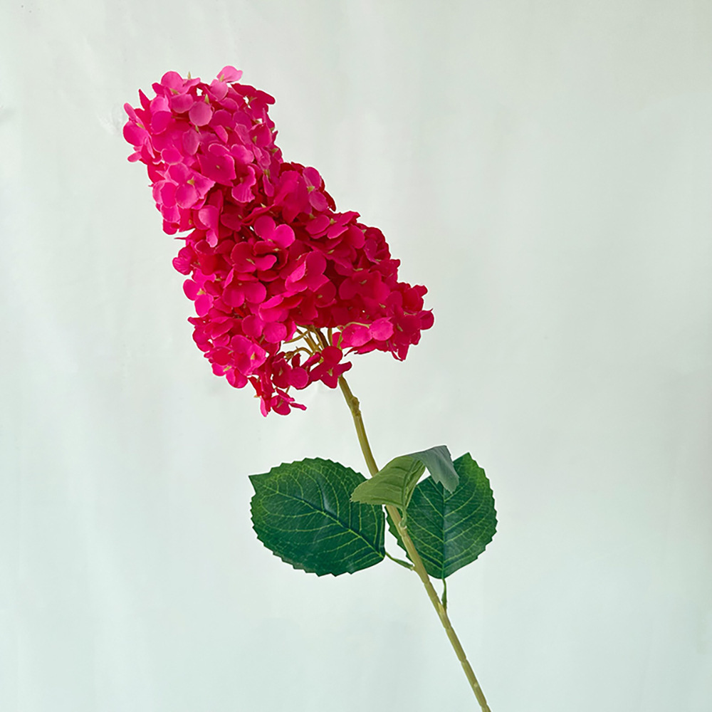 메이이 파고다 수국 로즈 레드