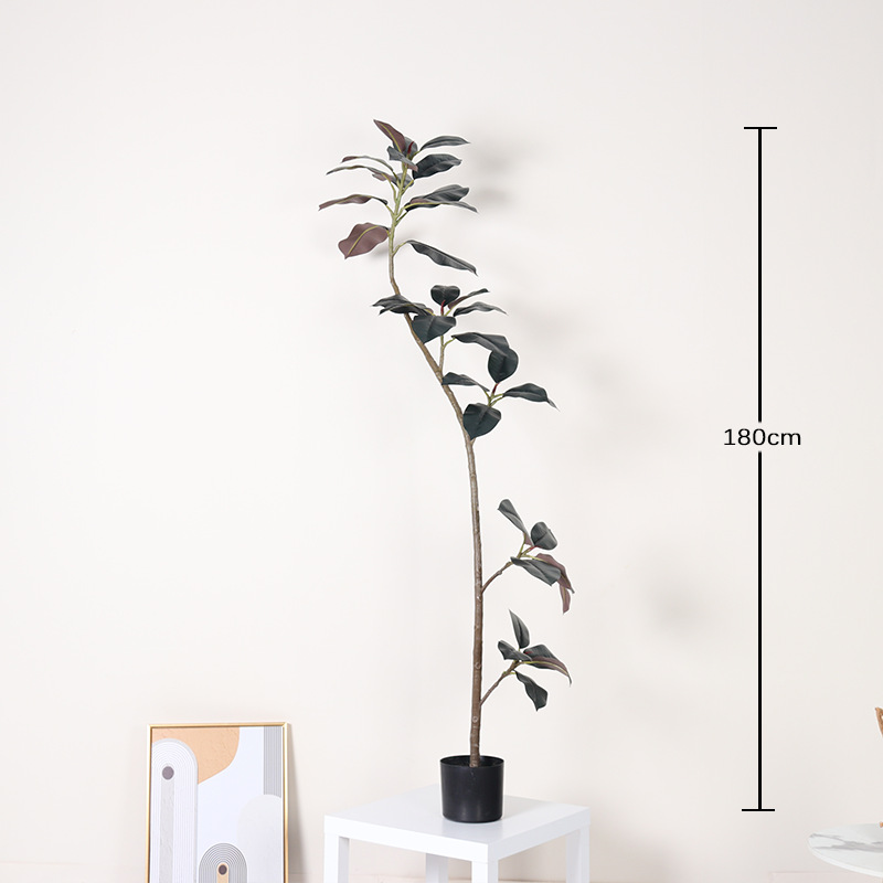 Elegante diamante negro-180cm