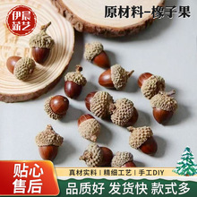 仿真橡果真坚果栗子家居节日圣诞节日摆饰道具厂家批发