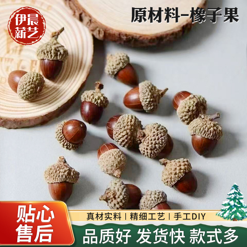 仿真橡果真坚果栗子家居节日圣诞节日摆饰道具厂家批发