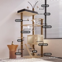 ؈����؈�C؈��һ�w��ľɫ̫��œ؈��̨؈���ӄ������؈����Ʒ��