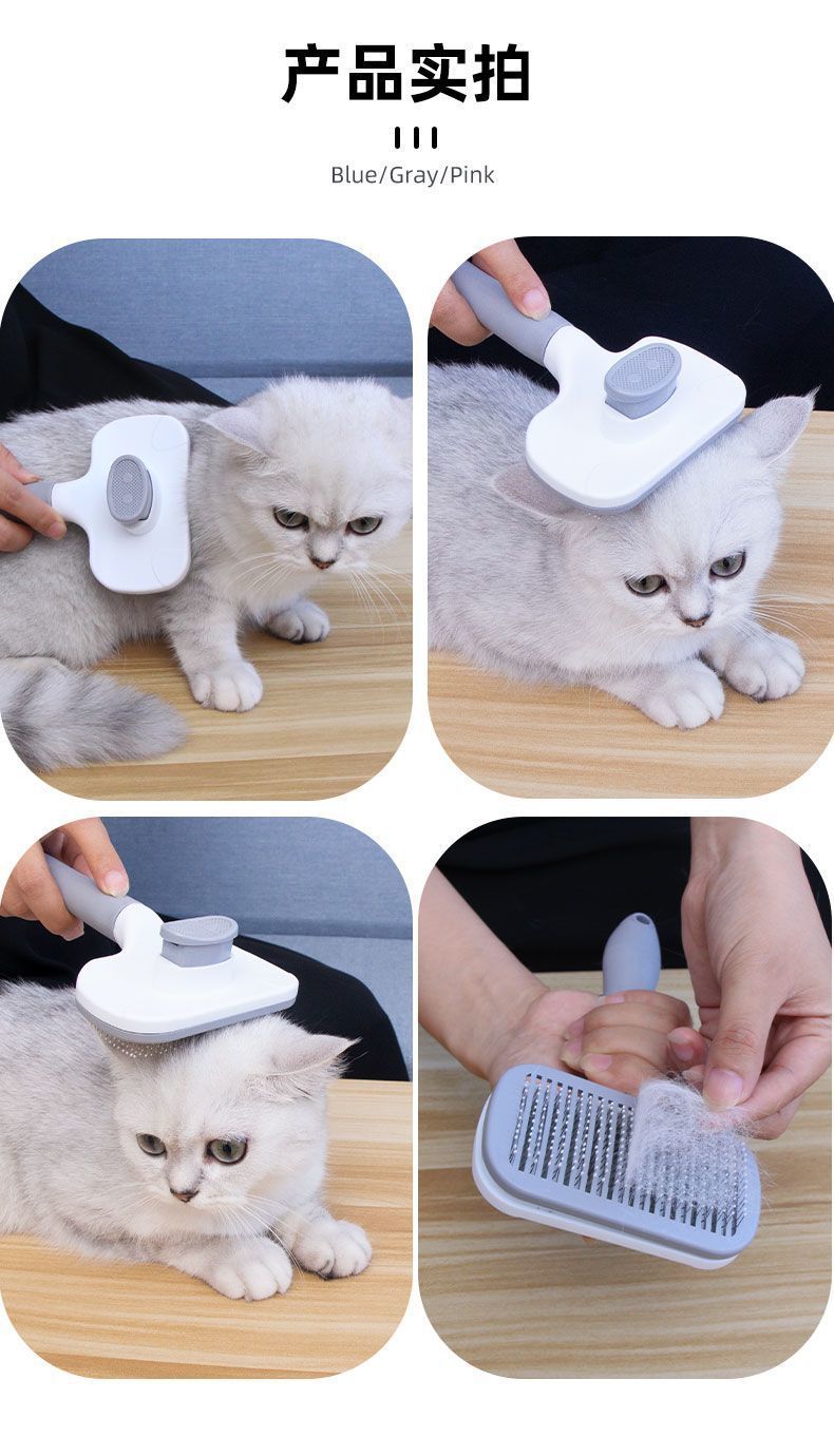 4cd63c09-a2c4-483b-8aa5-e8203e9e9ef1.jpe