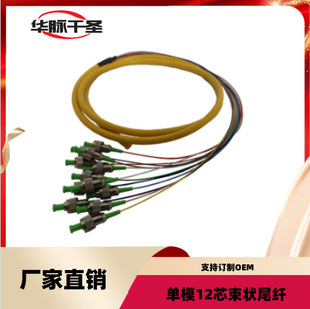 12-Core束状尾纤 Fc12-Core Single-Mode Lc/St/Fc/Sc束状尾纤 1.15m Carrier-Grade Pigtail