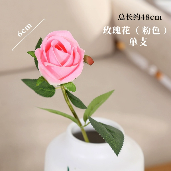 Rose Flower Pink