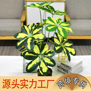 �羳����ֲ����צľ�����bٻ��Gֲ�[���������҃ȼҾӔ[�O�辰