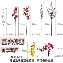 ��֦�D÷÷��ϵ�����l�Ƶ�Ҿ��b���÷��廨�S�ҹ����ɴ��l؛