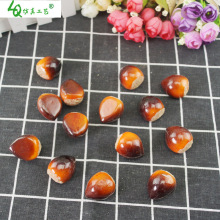 仿真板栗 假板栗食品菜品模型食品假栗子菜肴美食城餐厅摄影道具