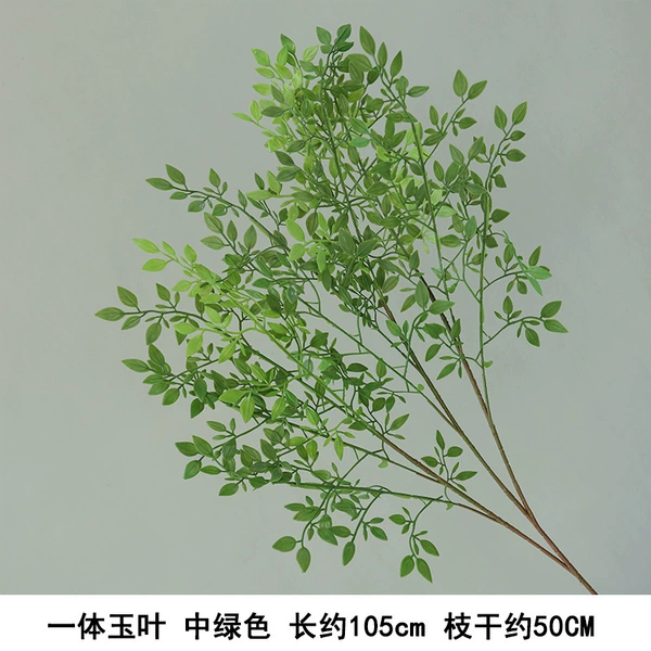 One -piece jade leaf green
