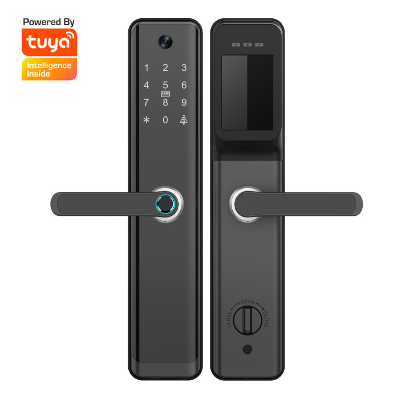 Visible Cat's Eye Graffiti Wi Fi Smart Fingerprint Lock Anti-theft Door Password Lock Remote Control ICCard Wooden Door Electronic Lock