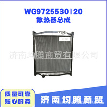 WG9725530120 重汽豪沃散热器总成 制冷系统全车件耐用低价现货