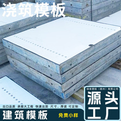 15mm工事現場建築テンプレートはカスタムPVCプラスチック枝テンプレート成形の組み合わせ混土打設テンプレートをサポートしている