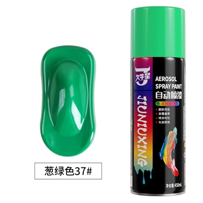 Avtomobil boyası – paint Wall hand spray paint - onion-green-450mlbottle-spray-paint