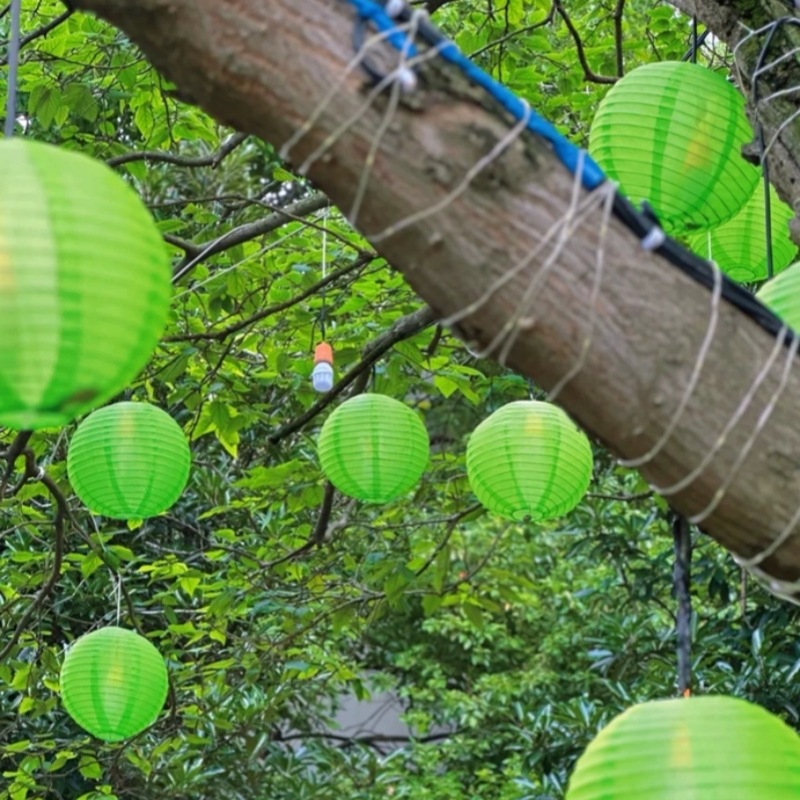 0762af9945b0ce5f2e2490c99ea45e